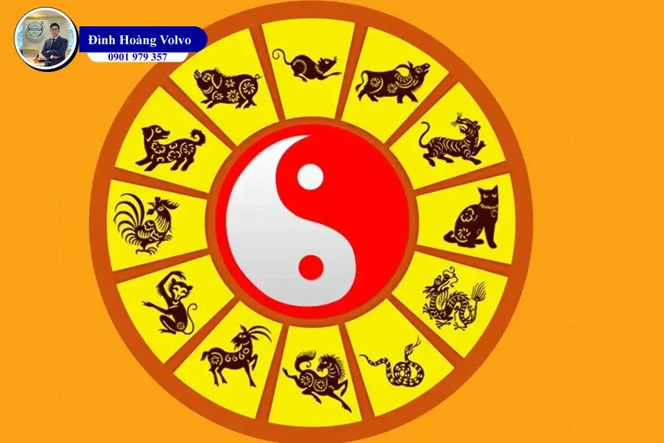 Sinh mệnh và Cung mệnh Nên chọn màu xe ô tô theo mệnh nào - Đình Hoàng Volvo Car Đà Nẵng (8)