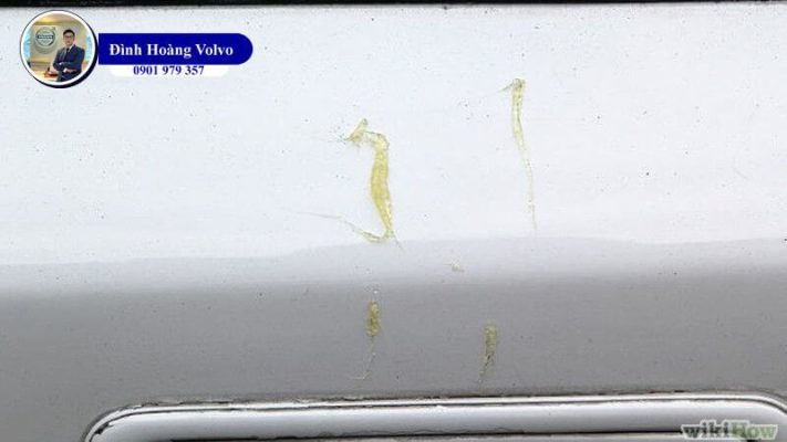 Xe ô tô bị dính nhựa cây thì xử lý vết bẩn như thế nào - Đình Hoàng Volvo Car Đà Nẵng