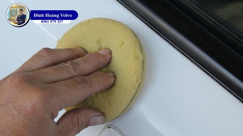 Xe ô tô bị dính nhựa cây thì xử lý vết bẩn như thế nào  - Đình Hoàng Volvo Car Đà Nẵng