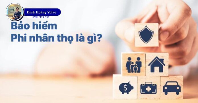 Bảo hiểm phi nhân thọ là gì Quyền lợi khi mua bảo hiểm - Đình Hoàng ô tô Volvo Car Đà Nẵng