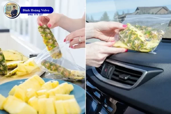 Mẹo khử mùi ô tô bằng nguyên liệu tự nhiên - Đình Hoàng Volvo Car Đà Nẵng