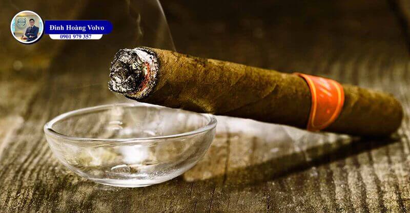 Cigar Là Gì? Cách Chọn và Hút Cigar Đúng Cách - Đình Hoàng Volvo Car Đà Nẵng