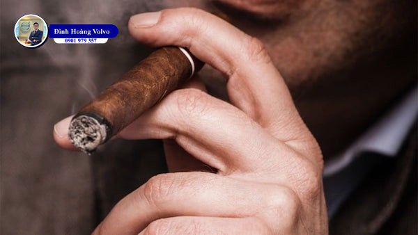 Cigar Là Gì? Cách Chọn và Hút Cigar Đúng Cách - Đình Hoàng Volvo Car Đà Nẵng