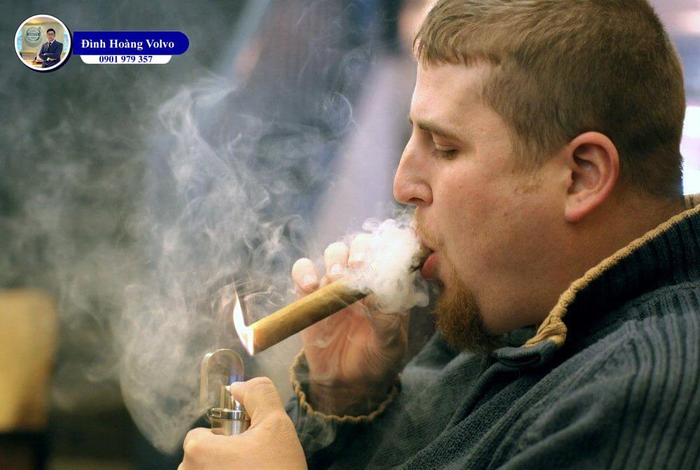 Cigar Là Gì? Cách Chọn và Hút Cigar Đúng Cách - Đình Hoàng Volvo Car Đà Nẵng