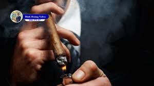 Cigar Là Gì? Cách Chọn và Hút Cigar Đúng Cách - Đình Hoàng Volvo Car Đà Nẵng
