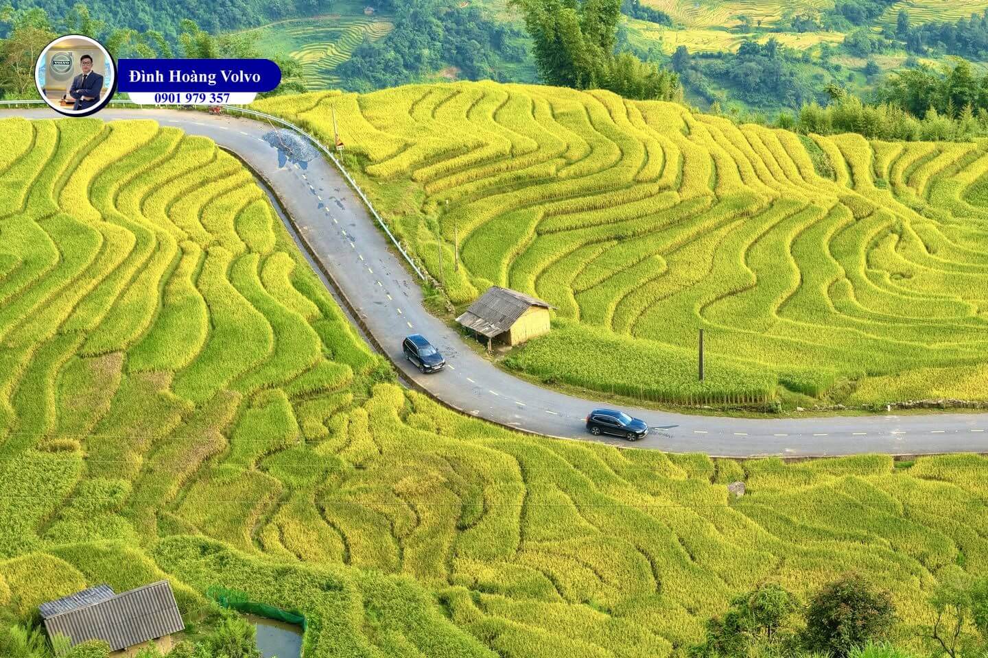 Hình ảnh minh hoạ Đình Hoàng Volvo Car Đà Nẵng26 Hình ảnh minh hoạ Đình Hoàng Volvo Car Đà Nẵng26