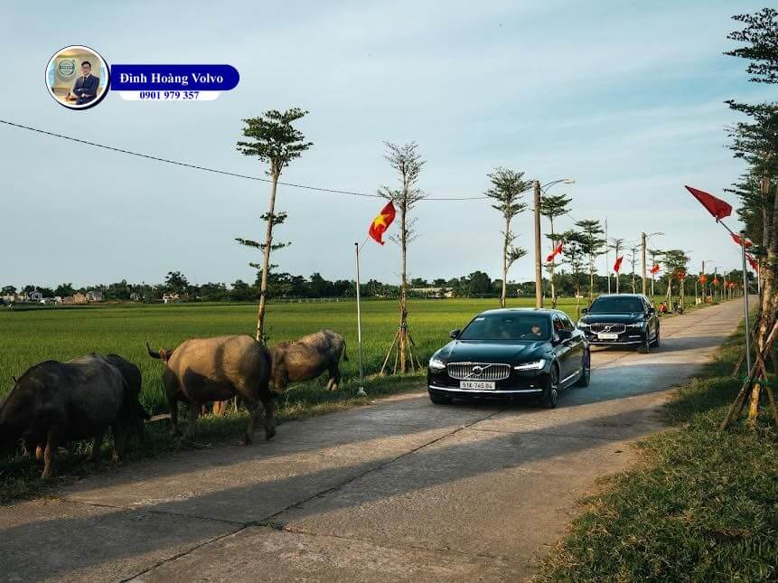 Hình ảnh minh hoạ Đình Hoàng Volvo Car Đà Nẵng7 Hình ảnh minh hoạ Đình Hoàng Volvo Car Đà Nẵng7