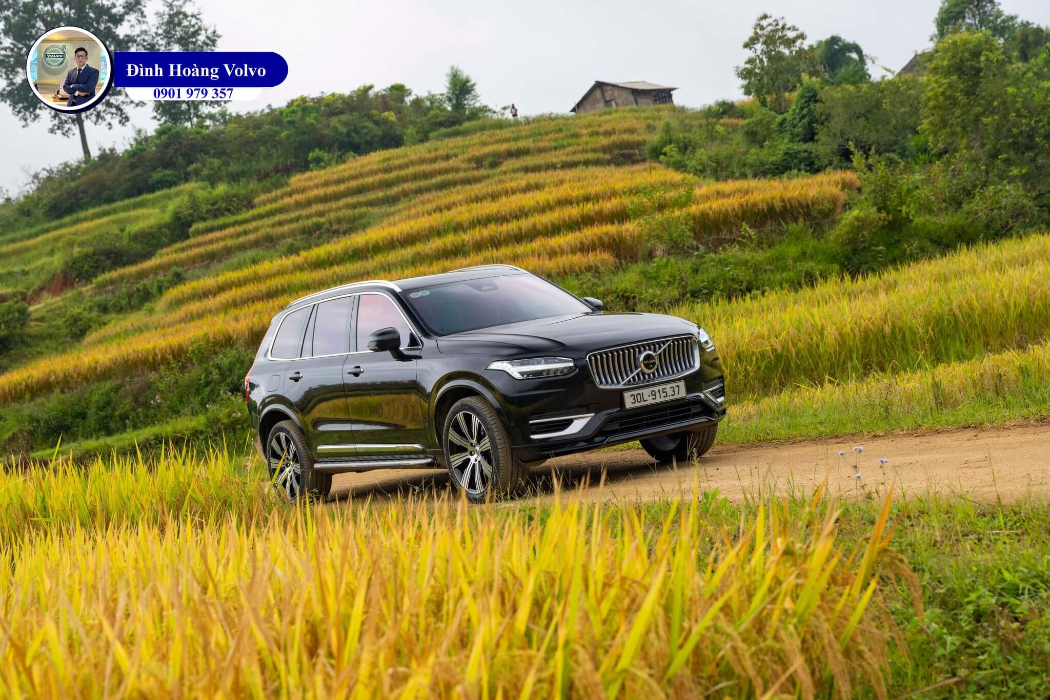 Đình Hoàng Volvo 0901 979 35710 Đình Hoàng Volvo 0901 979 35710
