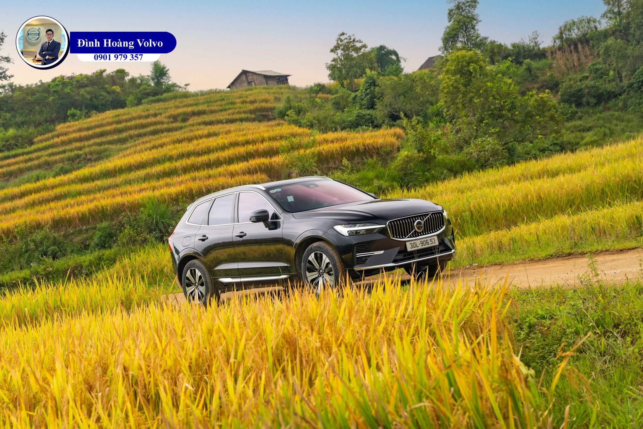 Đình Hoàng Volvo 0901 979 35716 Đình Hoàng Volvo 0901 979 35716