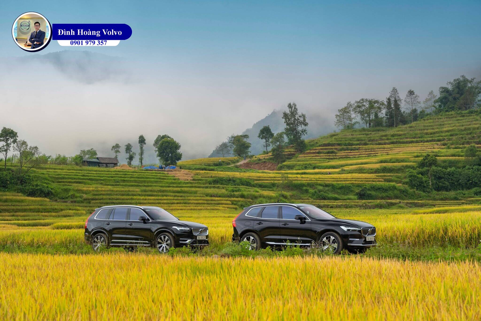 Đình Hoàng Volvo 0901 979 3576